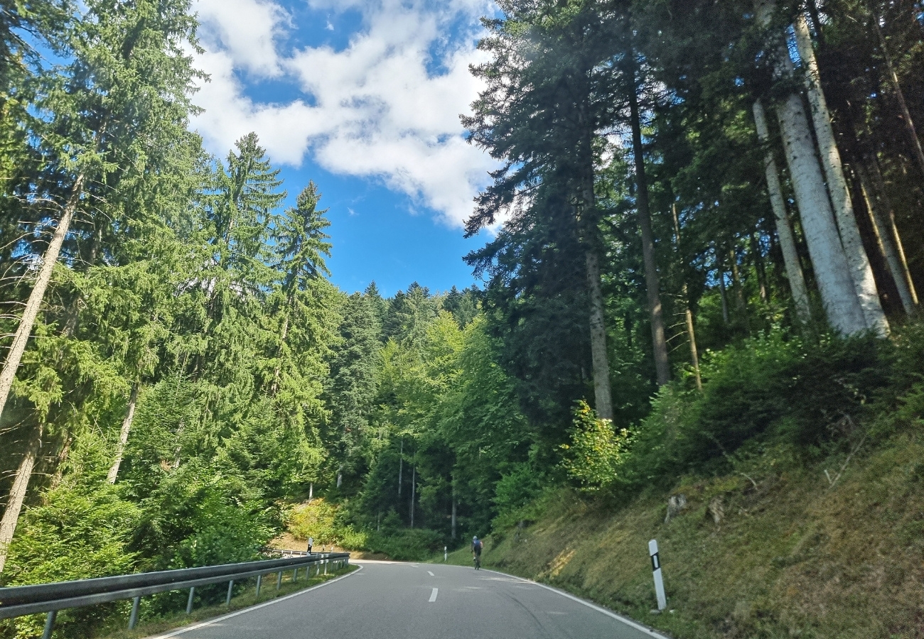 Black Forest, Germany